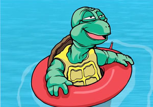 Bad Turtle